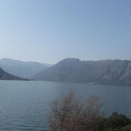 Melodia Del Mare 2 Daire Kotor Dış mekan fotoğraf